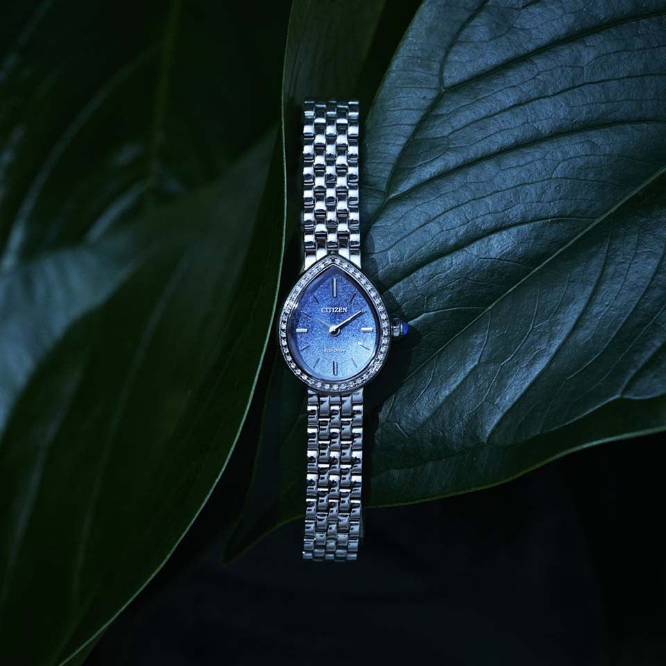 シチズン CITIZEN L EX1540-58L 限定モデル